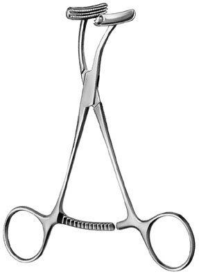 Scalp Clamp