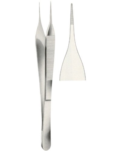 Dissecting Forceps 
