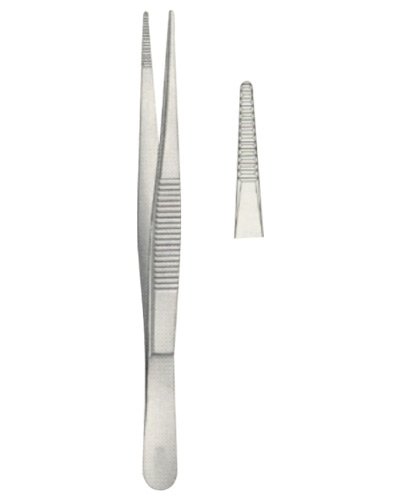 Dissecting Forceps 