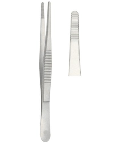 Dissecting Forceps 