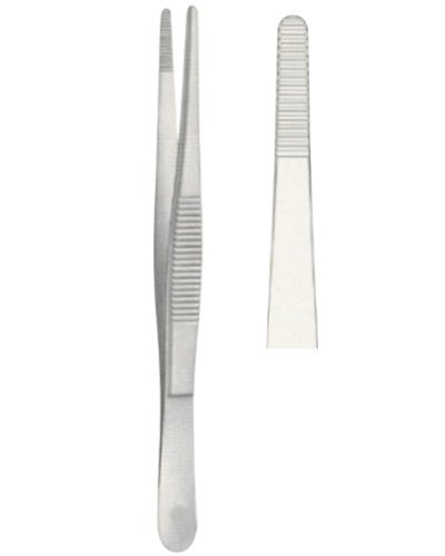 Dissecting Forceps 