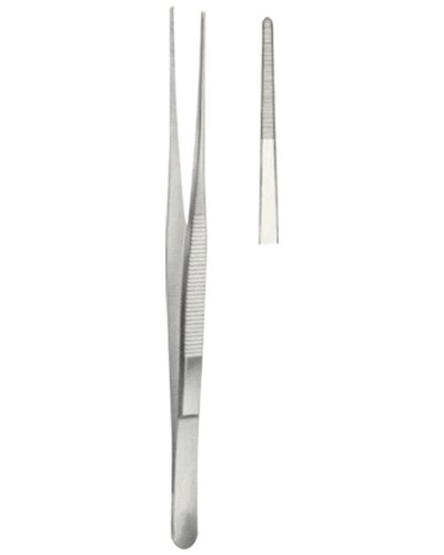 Dissecting Forceps 