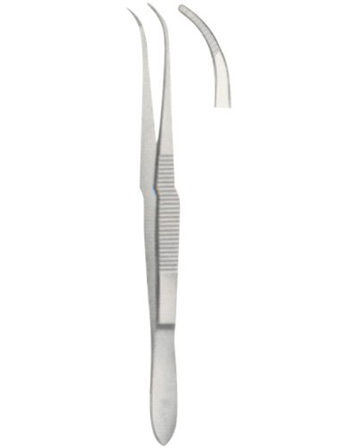 Dissecting Forceps 