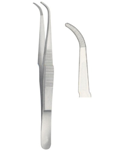 Dissecting Forceps 