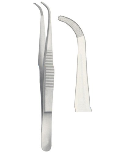 Dissecting Forceps 